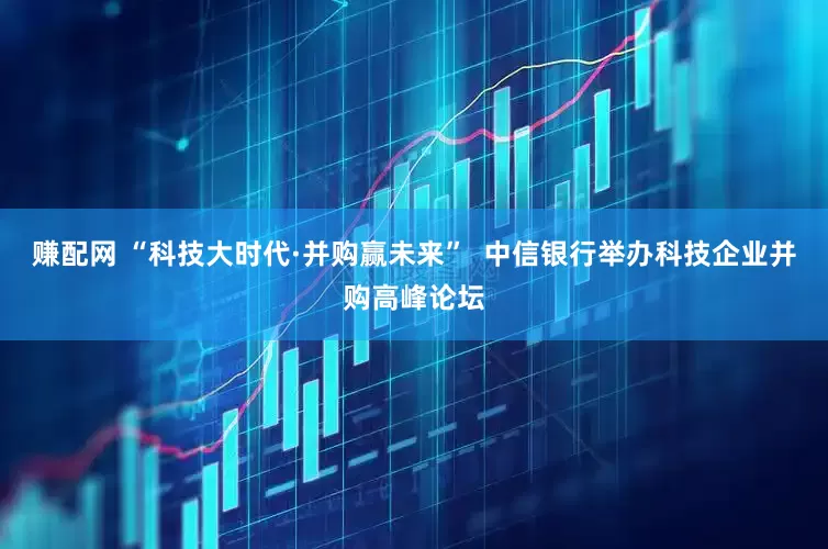 赚配网 “科技大时代·并购赢未来”  中信银行举办科技企业并购高峰论坛