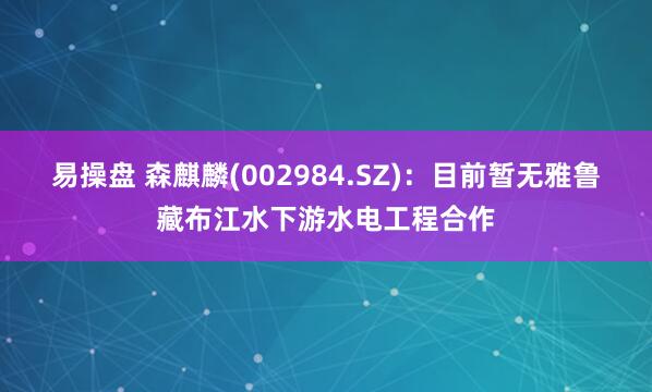 易操盘 森麒麟(002984.SZ)：目前暂无雅鲁藏布江水下游水电工程合作
