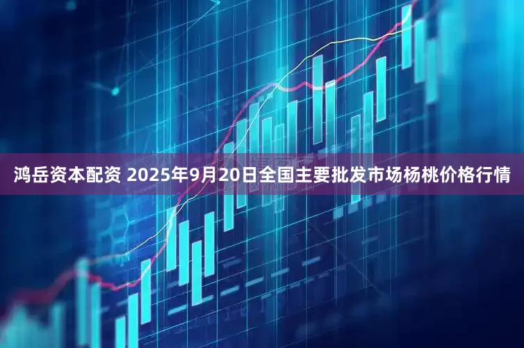 鸿岳资本配资 2025年9月20日全国主要批发市场杨桃价格行情